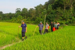 Niềm vui mới của đồng bào Co ở Nóc Ông Đến